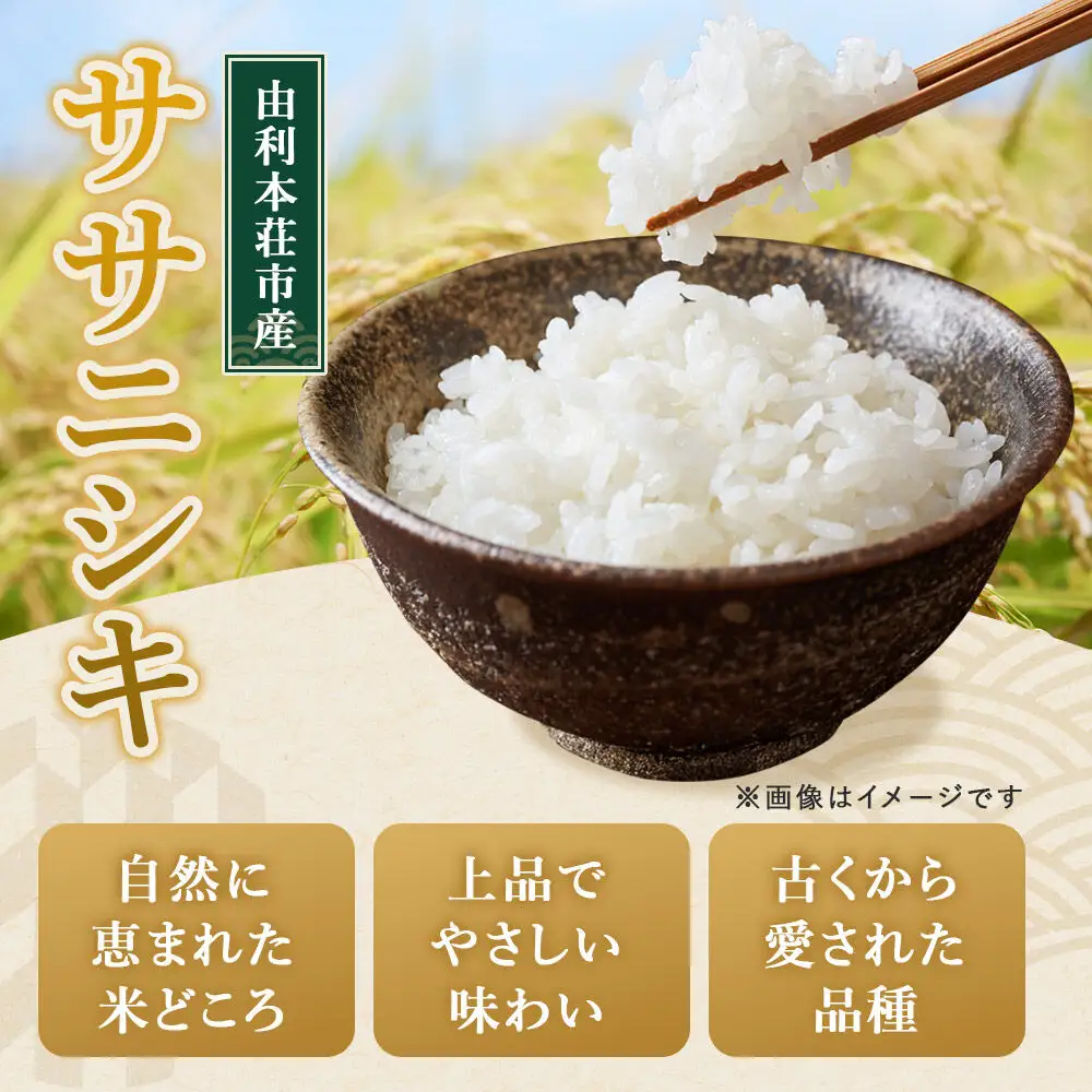 【白米】特別栽培米 ササニシキ 5kg（5kg×1袋）令和7年産