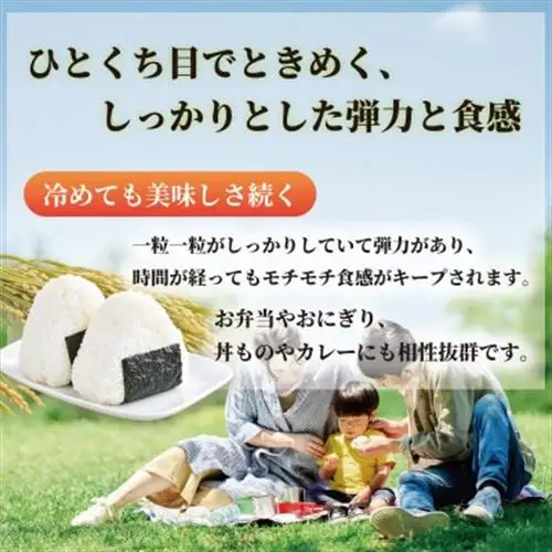 【令和8年産米】恋の予感5kg【1623583】