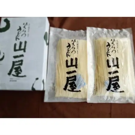 はちみつうどん500g×2袋 約5～6人前(半生うどん)【配送不可地域：離島・沖縄県】【1125040】