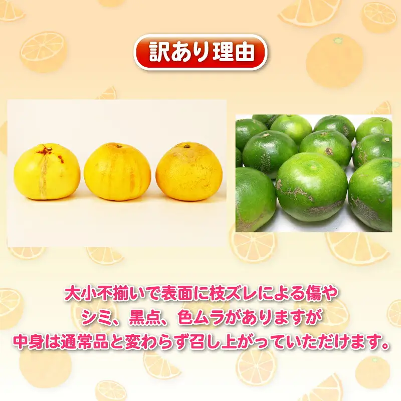 【訳あり 柑橘定期便】 全5回 杉本屋 柑橘定期便 B050-143025