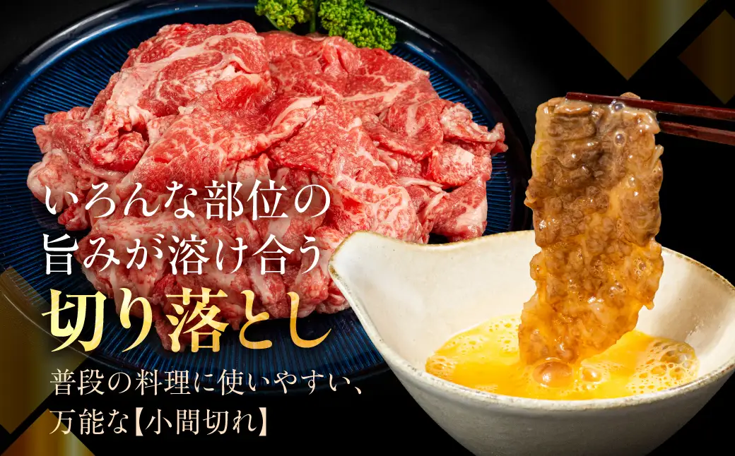 飛騨牛 A5等級 切り落とし 500g | 飛騨牛 ながせ食品 FH025VC13