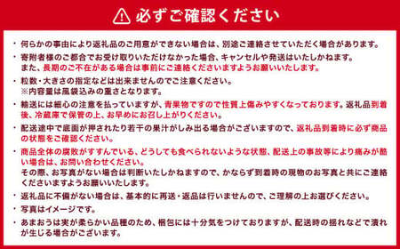 【ギフト用／特別栽培】 福岡県産 あまおう EX 約450g×2パック 【2027年1月上旬～3月下旬発送予定】 いちご イチゴ 苺 フルーツ 果物 くだもの ギフト 贈答用 贈り物 福岡県 遠賀町