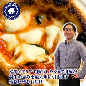 訳あり ピザ おまかせ 3枚 ピザ 