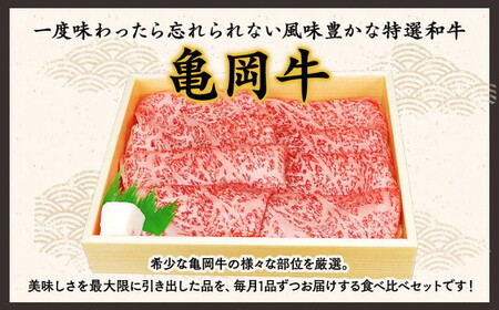 【6回定期便】亀岡牛お楽しみ 牛肉 食べ比べセット 牛肉