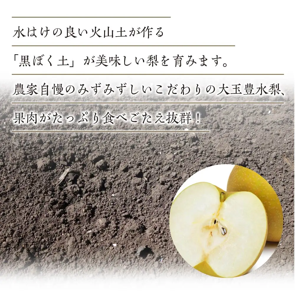【先行予約】蔵王の梨 豊水約5kg 特大玉(3～5L程度）　【04301-0142】