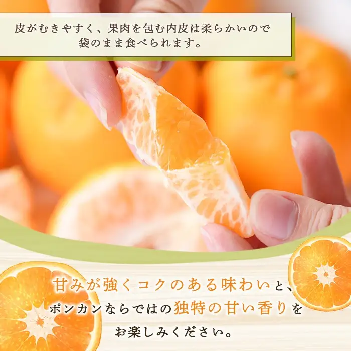 ＜先行予約受付中！2026年12月下旬以降順次発送予定＞ 訳あり！ポンカン(約8kg) 国産 ポンカン 柑橘 果物 フルーツ デザート 果実 期間限定 数量限定【古田果樹園】akn093-05