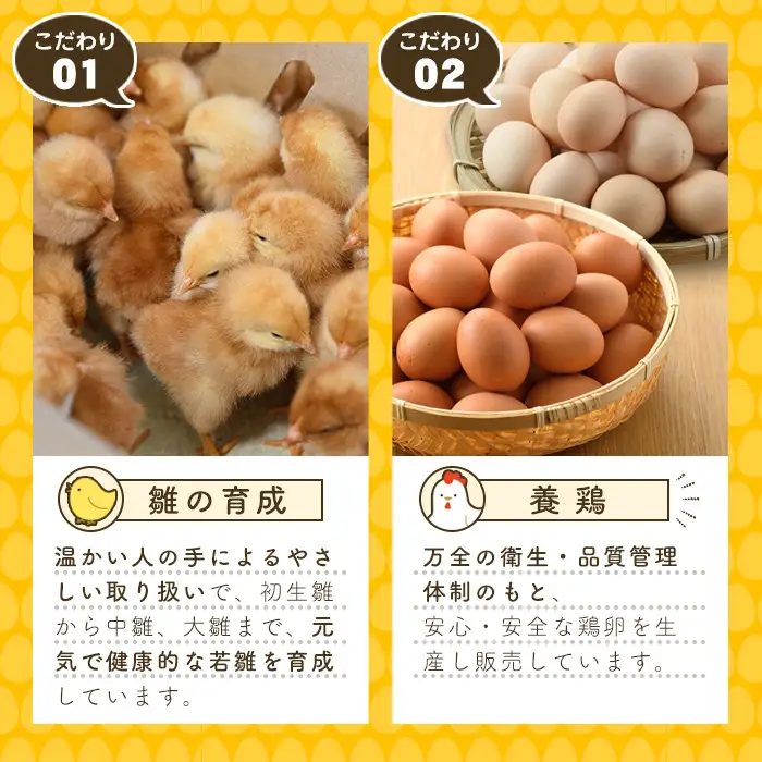 平飼い卵 なちゅら(計60個・10個×6P) 卵 玉子 鶏卵 卵かけご飯 玉子焼き【108800500】【カジワラファーム】