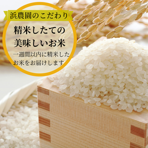 【2026年9月順次発送】令和8年産 新米 白米 2kg 特別栽培米 コシヒカリ
