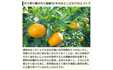 タカじいの 完熟 さつき はっさく家庭用 10kg (M～2Lサイズ) / 八朔 訳あり 和歌山 有田 柑橘 ※2027年4月上旬〜4月下旬に順次発送【krs022-c-10】