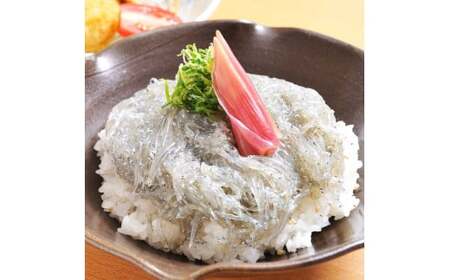 生しらす・釜あげちりめん 特製タレ・薬味セット 