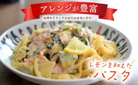 【先行予約】＜天晴レモン 贈答用 約2kg＞ フルーツ 果物 くだもの レモン れもん 檸檬 柑橘 プレゼント 贈り物 お返し お礼 ギフト アレンジ 料理 国産 国産レモン 愛媛県産 特産品 株式会社笑丸 愛媛県 西予市【常温】『2026年9月から順次出荷予定』AAN0046
