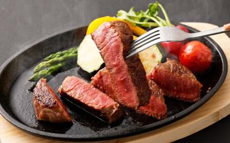 【A4・A5】博多和牛 ヒレステーキ 合計600g（150g×4枚）