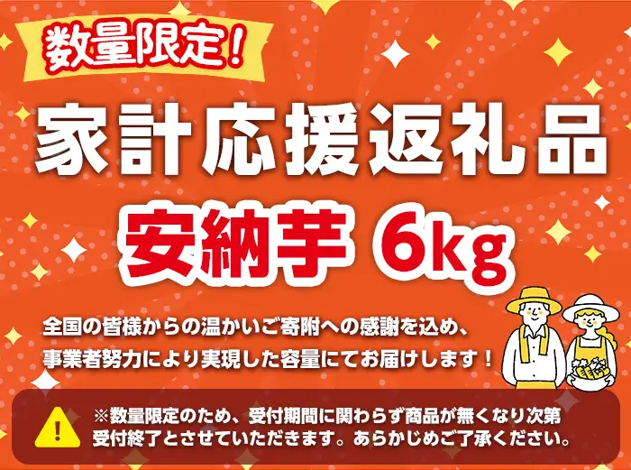 【ふるなびWEEK対象】期間限定 安納芋 6kg 黄金 種子島 さつま芋 セット 【なかたね農産】n331-z-H