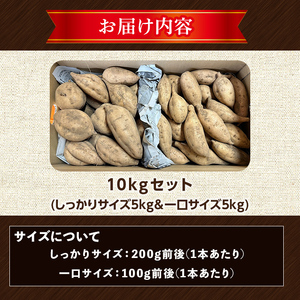 【ふるなびWEEK対象】安納芋 10kg 黄金 種子島 さつまいも セット 【なかたね農産】n332-H