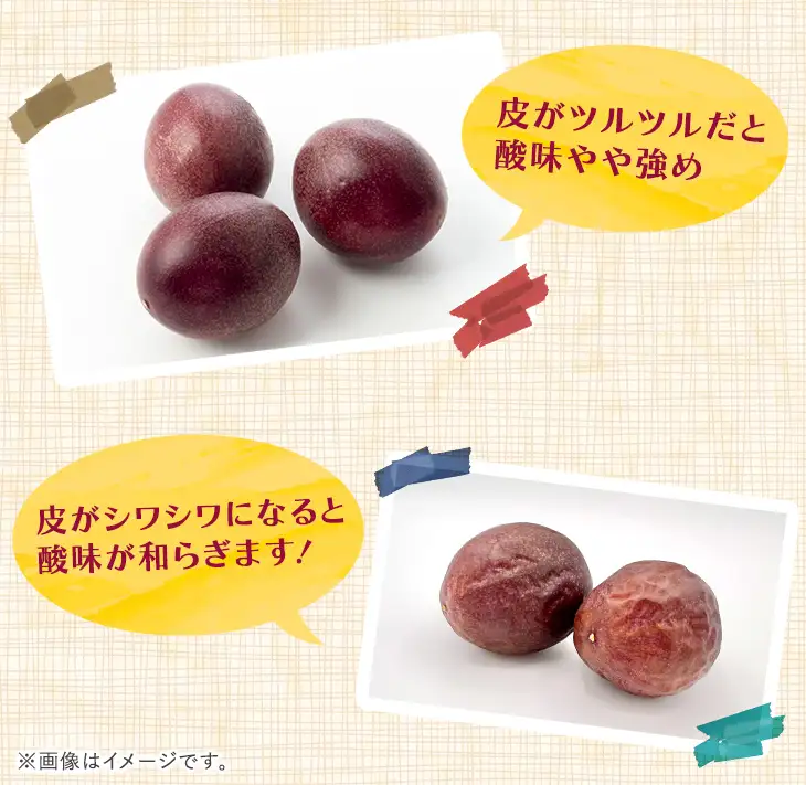 南国・種子島産！パッションフルーツ(2kg前後・約20個入) 国産 鹿児島 果物 【なかたね農産】n358