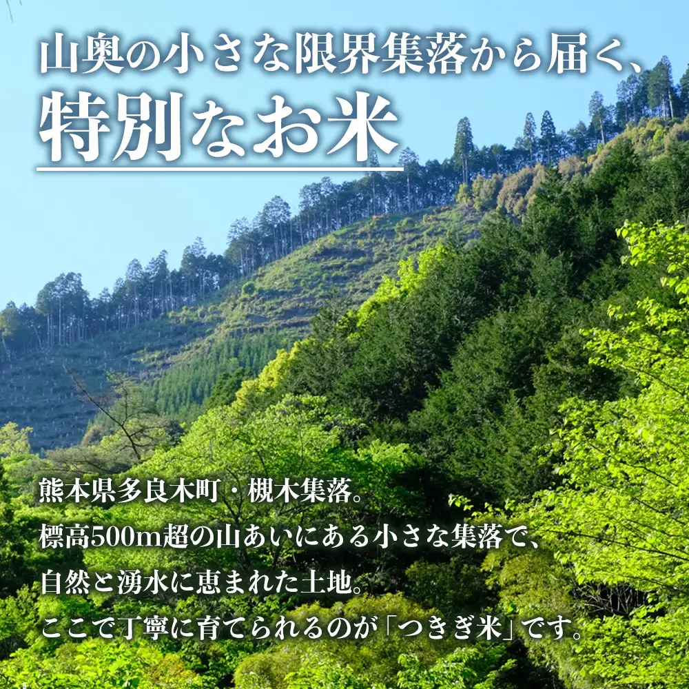 【令和8年産 玄米 】10月上旬～発送 多良木町産 にこまる 「つきぎ米」 玄米 30kg ハサ干し米 米どころ 多良木町 たらぎ 槻木 新米 お米 米 熊本県 30キロ 117-0501