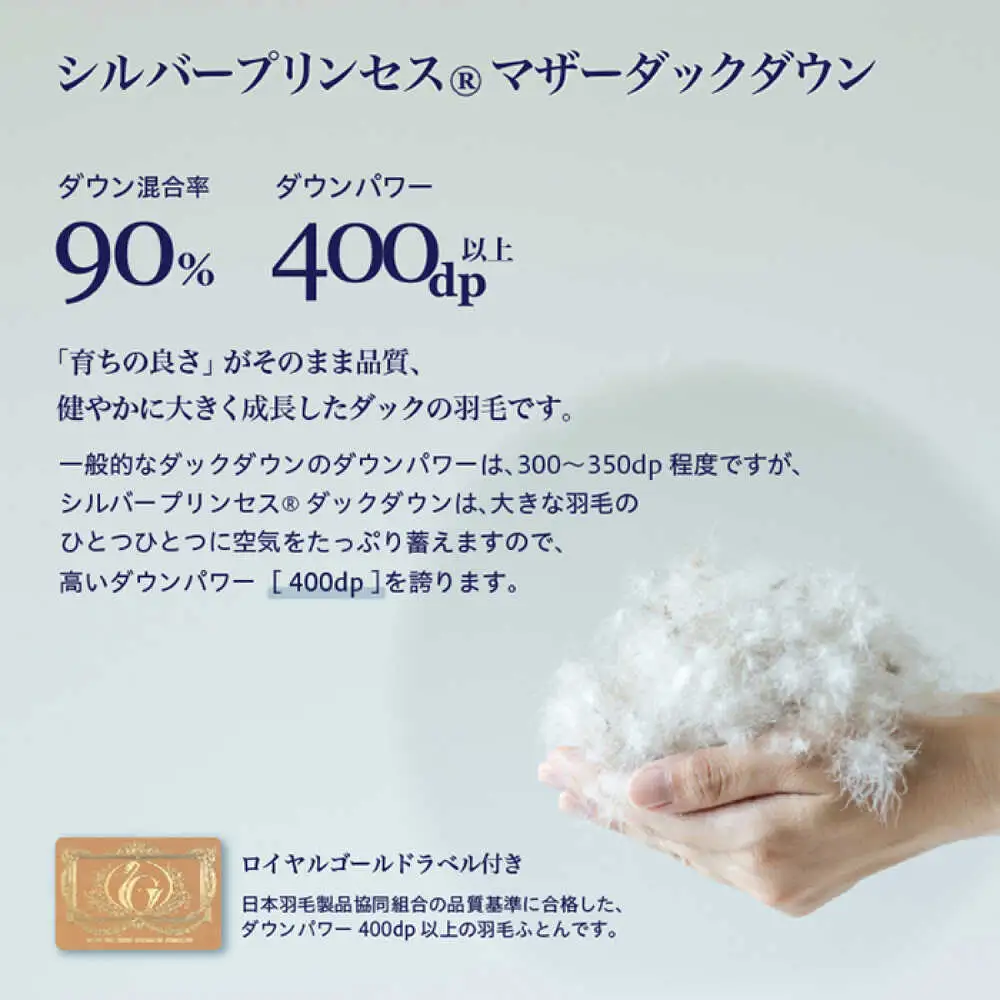 【訳あり】 色柄おまかせ ダブル 羽毛合掛けふとん シルバープリンセスダック ダウン90% ダウンパワー400dp 《壱岐市》 【富士新幸九州】 [JDH120] 掛け布団