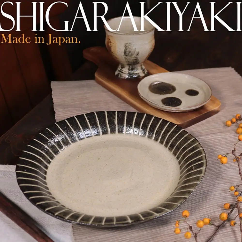 信楽焼 パスタ皿 カレー皿 陶器 【一珍】