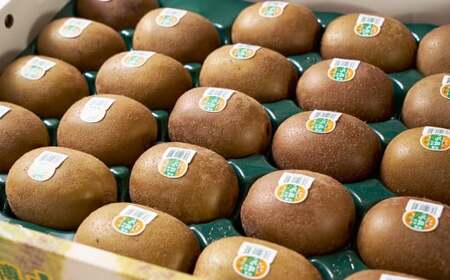 福岡県産ブランドキウイ・甘うぃ 約3kg （24-33玉） キウイ キウイフルーツ 果物 くだもの フルーツ 常温 国産 岡垣町 【2026年10月下旬～12月上旬発送予定】