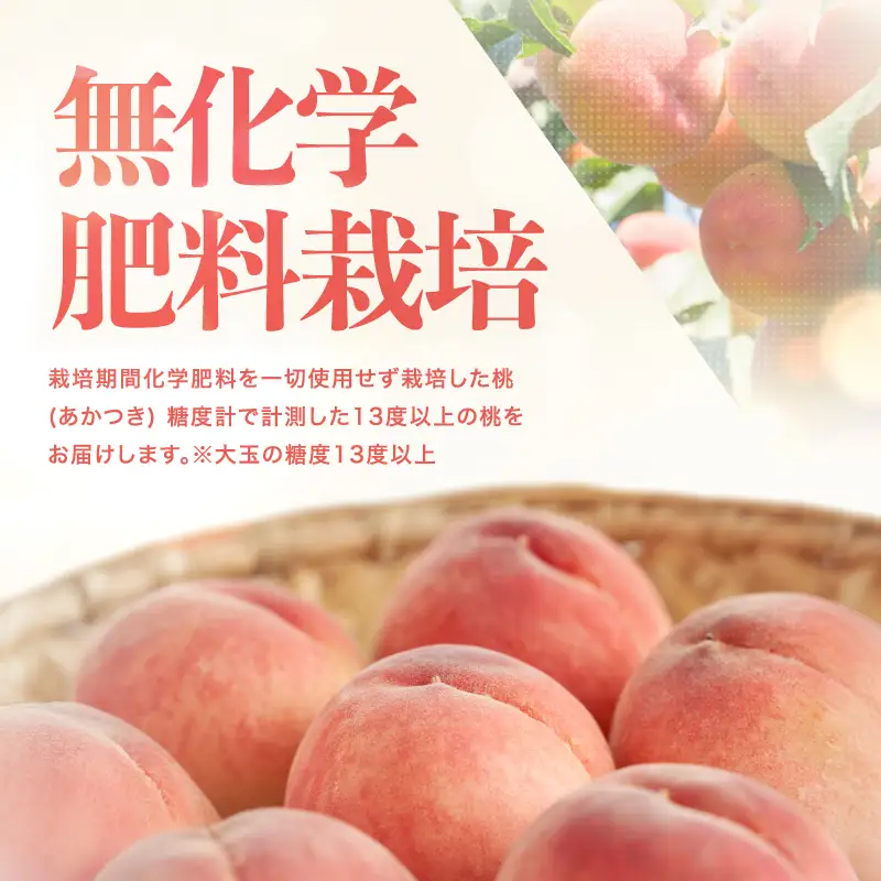 桃 あかつき 糖度13度以上 約1.5kg 5～6個入 【2026年7月中旬～発送】