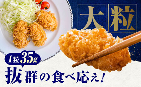 【スピード発送】冷凍 大粒 カキフライ 60粒 [BACG007]カキフライ