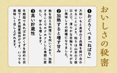 ネバリスター　5kg×1箱