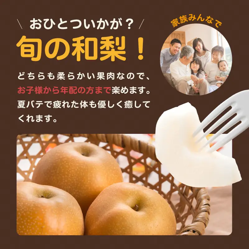 南信州産 訳あり 梨 約5kg 【2026年8月中旬～9月下旬発送】