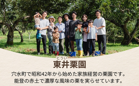 【先行予約】東井栗園 の 能登栗 1.5kg