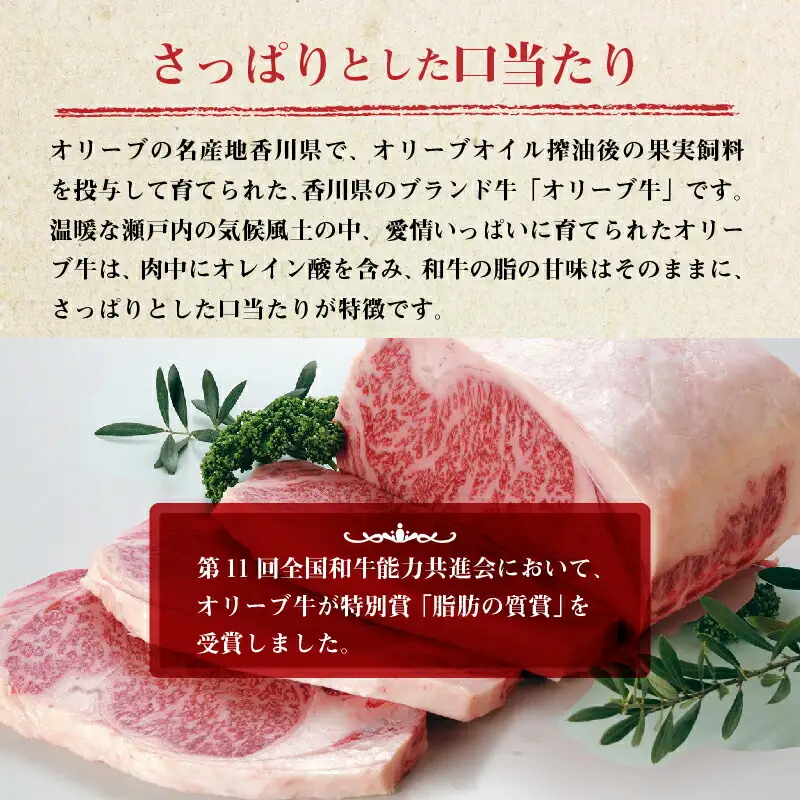 オリーブ牛 ハンバーグ2袋セット