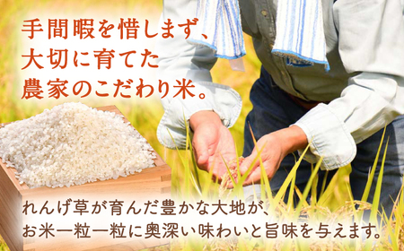 【令和7年度米】 れんげ米 なつほのか 3kg【ふきの陶】[NF18] 白米 3kg 白米