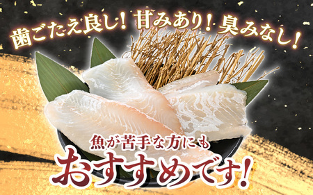 【先行予約】若狭の活〆天然ヒラメ 400g以上 お刺身用柵【2027年3月上旬以降順次発送予定】【 国産 天然 ヒラメ ひらめ 】[m36-b014]