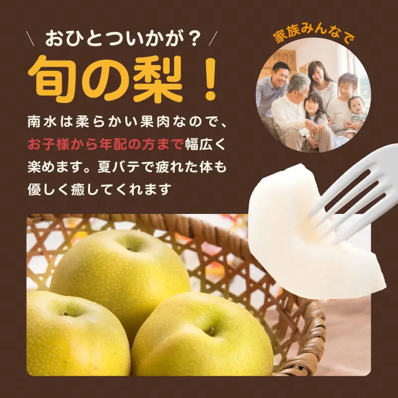 南信州産 梨【南水】3kg ＜2026年9月中旬～下旬発送＞