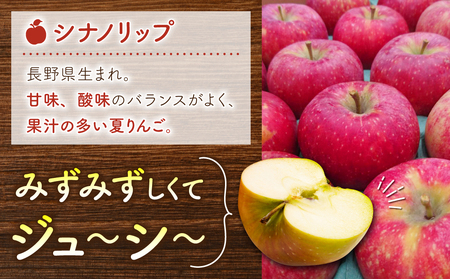 りんご「シナノリップ」3kg 長野県オリジナル品種 ｜JA信州うえだ東部地区営農課 東御市産 ※8月上旬～9月上旬頃お届け予定