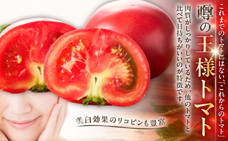 【 数量限定 】1度 飲んだら やみつき ！王様 トマト ジュース「 赤熟 」180ml × 24本 M001-007 飲料