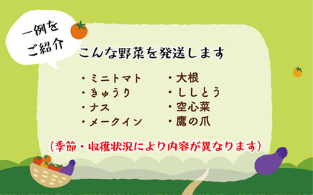 ＜丘の風ファーム 旬野菜詰め合わせセット＞