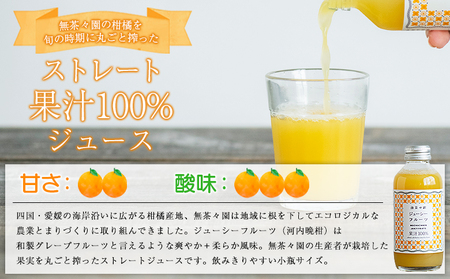 ＜無茶々園のジューシーフルーツジュース 180ml×12本＞ 柑橘 果物 オレンジ フルーツ ストレート 果汁100% じゅーしーふるーつ 河内晩柑 飲みきりやすい 小瓶 飲んで応援 特産品 無茶々園 愛媛県 西予市 【常温】『1か月以内に順次出荷予定』AMC0055