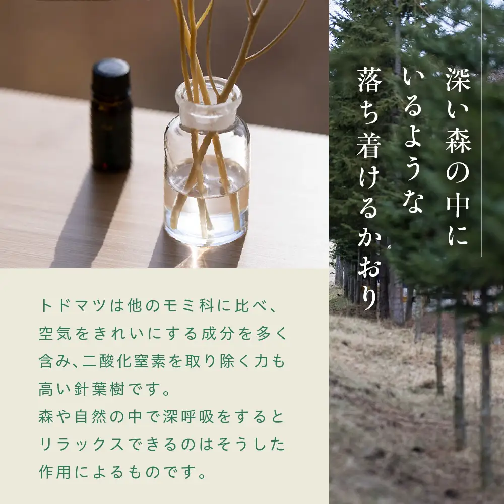 【先行受付】【2027年6月より順次配送】ととのい 極楽セット サウナ エッセンシャルオイル1本 ヴィヒタ1束 サウナ 