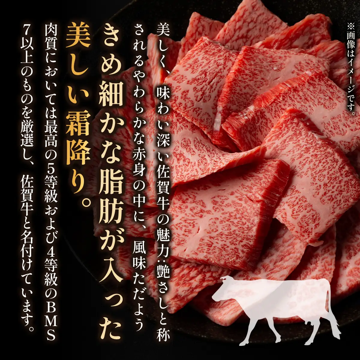佐賀牛サーロインステーキセット500g（250g×2枚）