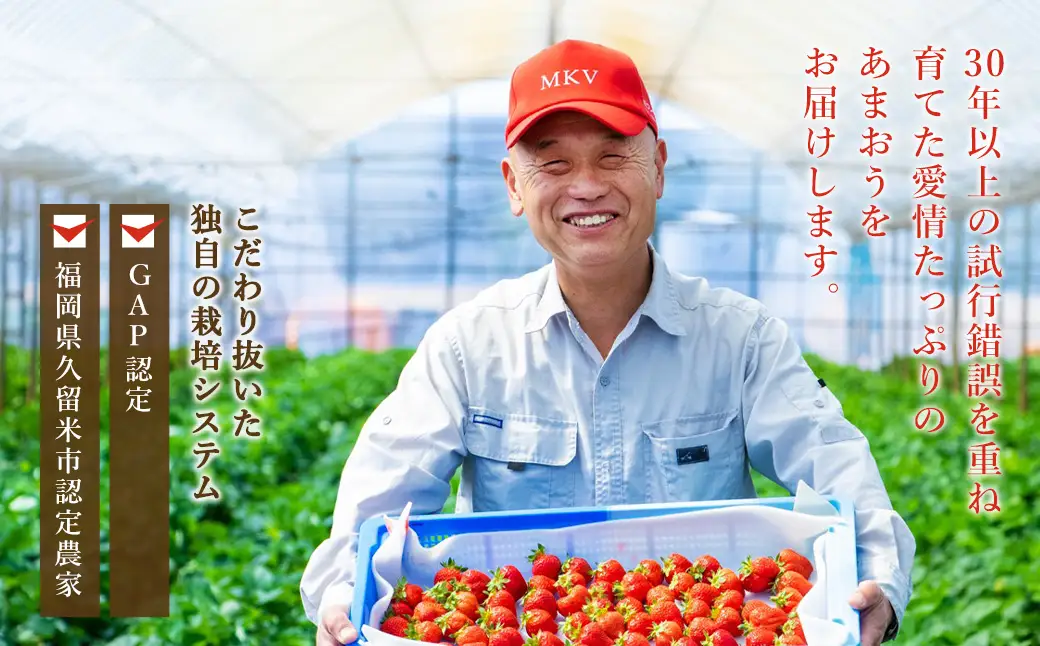 【2027年3月発送】【香春町 大容量 数量限定】 あまおう 約280g×6パック 計1680g いちご 苺 イチゴ ベリー 果物 フルーツ お取り寄せ デザート おやつ