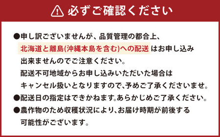 【2ヶ月定期便】エコファーマー あまおう （約280g×2パック）×2回 計約1120g【数量限定】【2027年2月上旬から3月下旬順次発送】 いちご 苺 イチゴ ベリー 果物 フルーツ お取り寄せ デザート おやつ