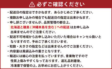 ギフト配送 約450g×2パック 計900g EX 福岡県産 あまおう 特別栽培【2027年1月上旬から3月下旬発送予定】 いちご 苺 イチゴ ベリー 果物 フルーツ お取り寄せ デザート おやつ