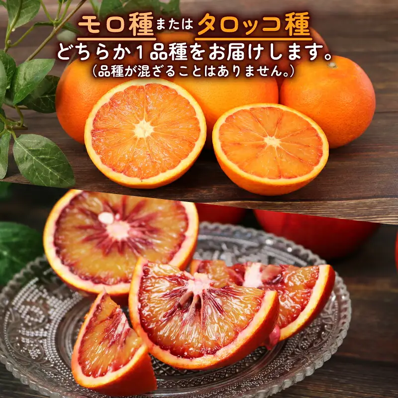 訳あり ブラッドオレンジ モロ タロッコ4kg 杉本屋 オレンジ B010-143023