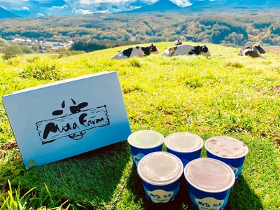 アイス 三田牧場 特製 アイスクリーム 4種類 10個 セット ミルク チョコレート いちごミルク ラムレーズン お菓子 スイーツ 詰め合わせ 