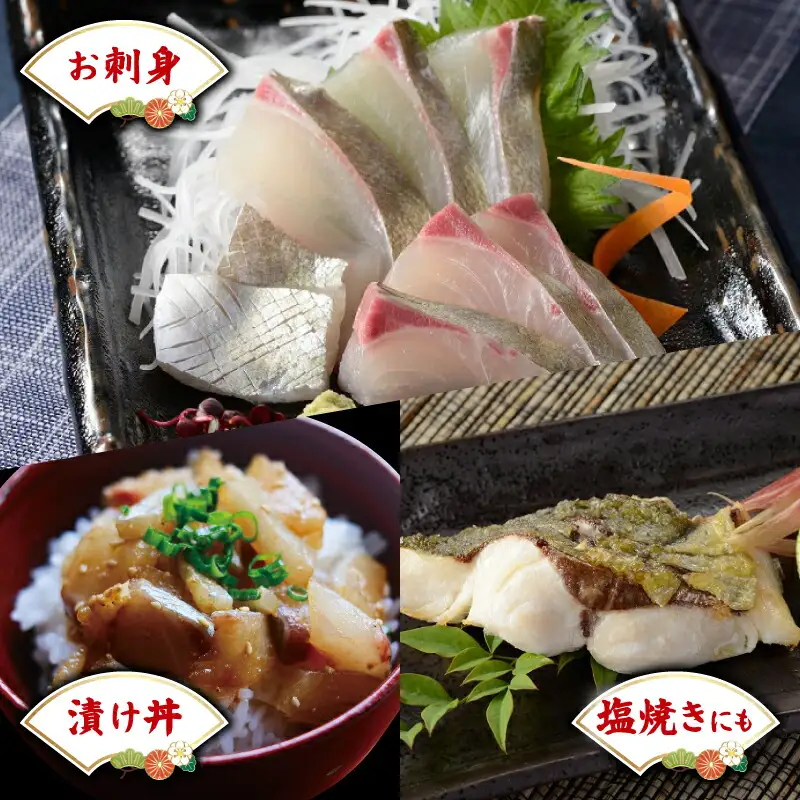 シマアジ セット 遊子産 計 500g 愛媛県漁業協同組合遊子支所 遊子 スキンレスロイン 250g 皮無し ロイン 250g 皮付き 片身分 魚介 刺身 お刺身 刺し身 お刺し身 皮なし 皮つき 加工 海の幸 海鮮 海鮮丼 漬け丼 しゃぶしゃぶ たたき 冷凍 アレンジ 国産 愛媛 宇和島 D012-022006