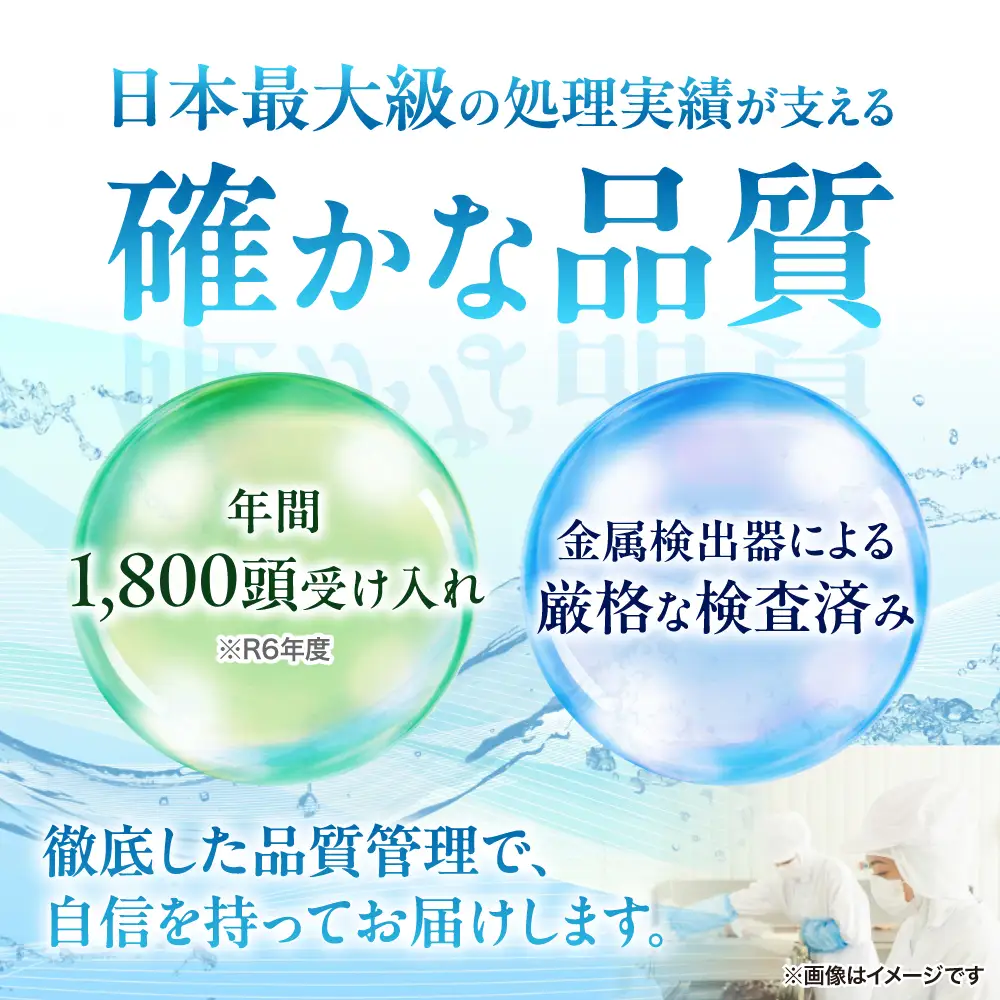 ジビエ 猪肉 ミンチ 500g×2パック [SDB012]｜ジビエ