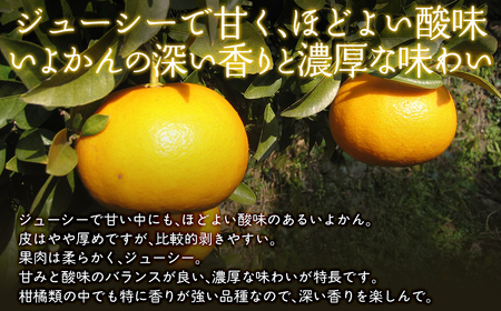 【栽培期間中農薬不使用】【先行受付】【数量限定】農園直送！愛媛県産 いよかん 10kg （2027年1月中旬頃より順次発送） IKTG016