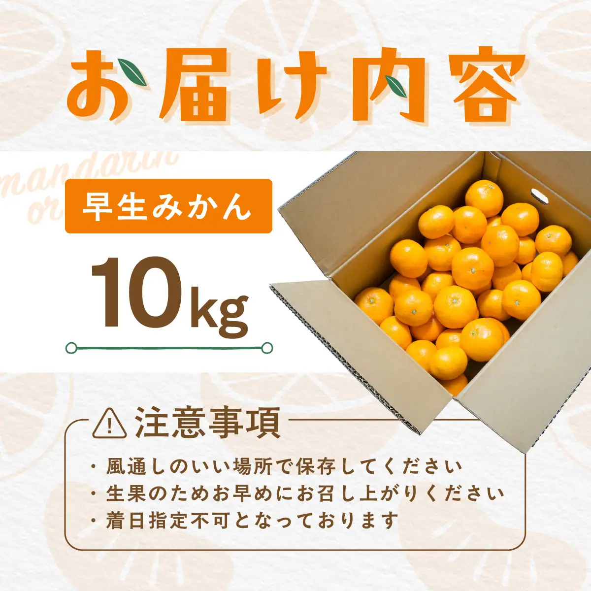 【先行受付】【数量限定】早生みかん（生果）10kg（2026年11月上旬より順次発送）IKTQ002
