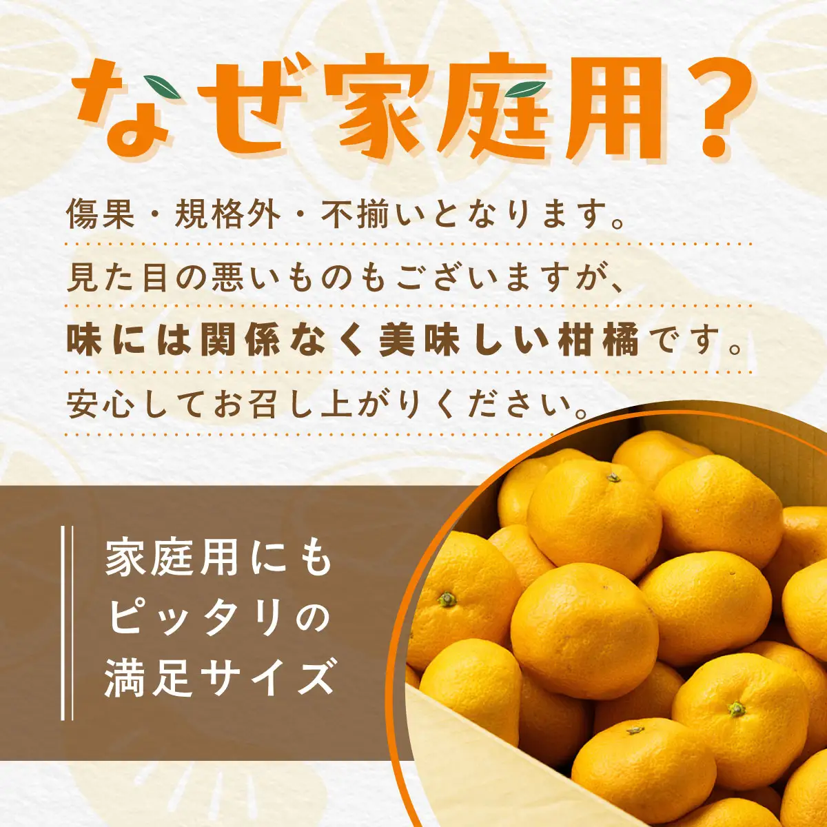 【先行受付】【数量限定】【家庭用】河内晩柑（生果）8kg（2027年5月中旬頃より順次発送） IKTQ008