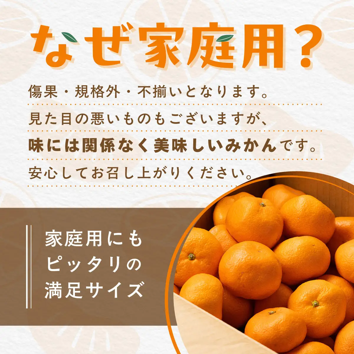 【先行受付】【数量限定】【家庭用】南柑20号（生果）5kg（2026年12月上旬頃より順次発送） IKTQ011