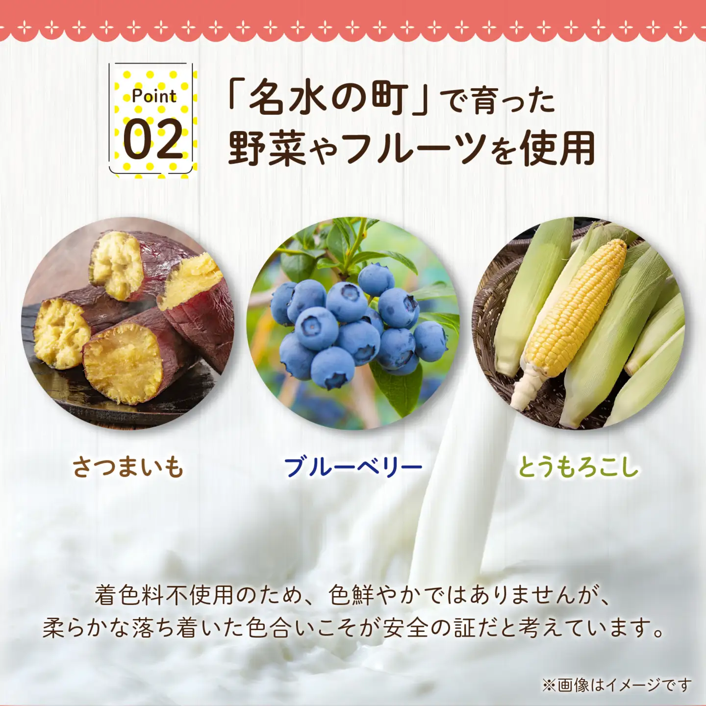 越前大野の「名水育ち生乳ジェラート」おまかせ 6個セット
